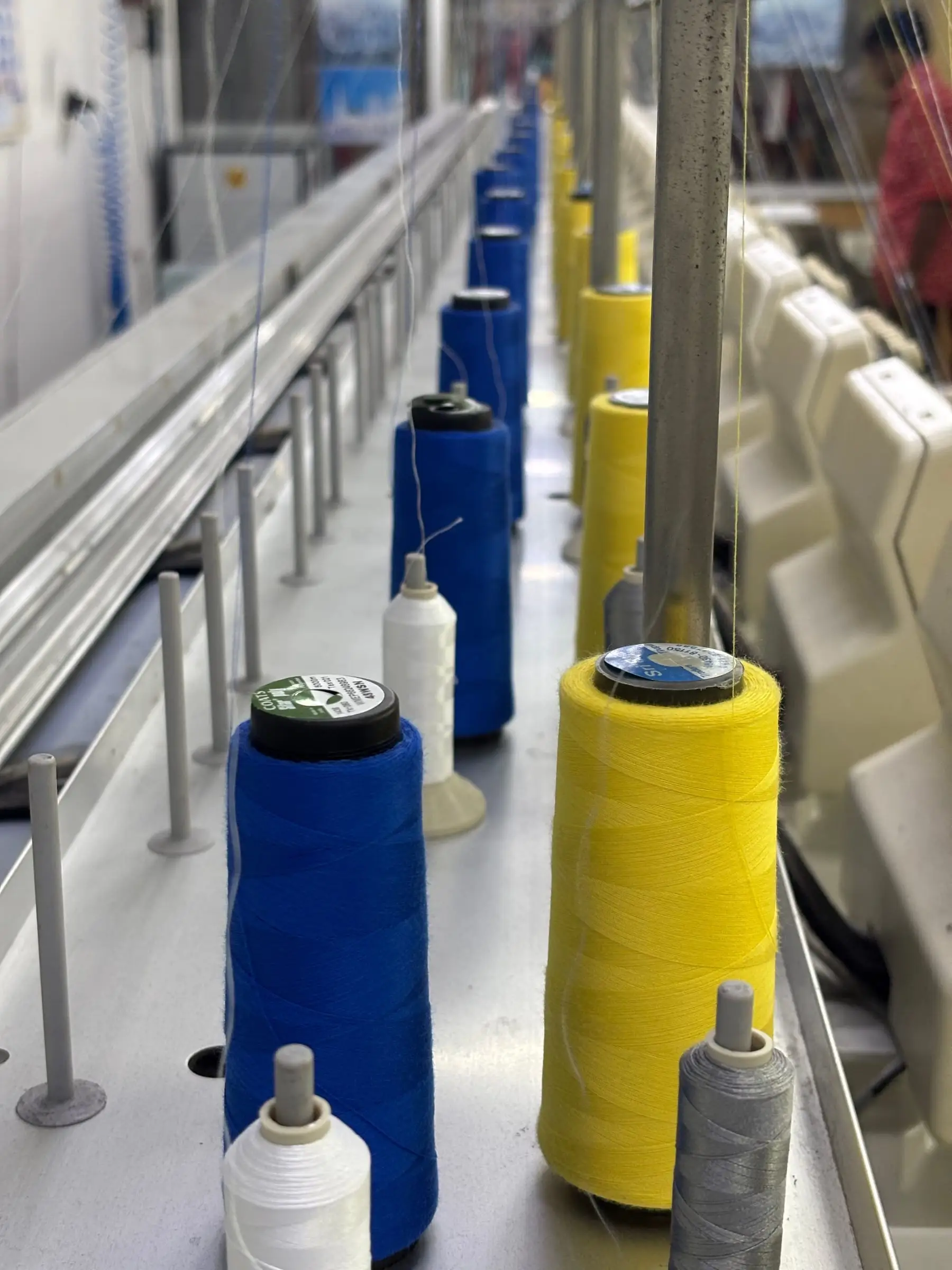 Cones of blue and yellow thread mounted along a machine bed, ready for a colour-matched run.